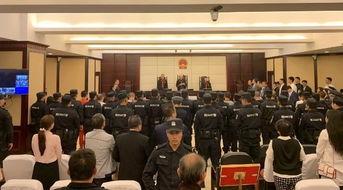 泉港记者爆料案件最新,案件最新进展，真相即将揭晓